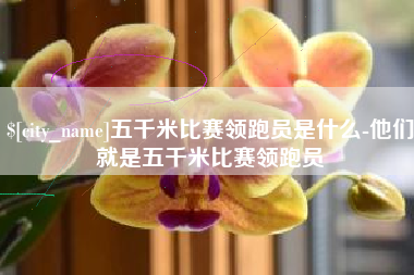 邹城五千米比赛领跑员是什么-他们就是五千米比赛领跑员