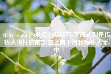 邹城60米接力赛技巧-下压式则是传棒人将棒的前部由上向下传到接棒人手中