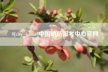 邹城中国消防报考中心官网