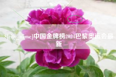 邹城中国金牌榜2024巴黎奥运会最新