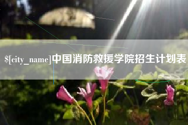 邹城中国消防救援学院招生计划表