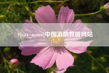 邹城中国消防救援网站