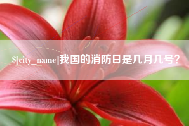 邹城我国的消防日是几月几号？