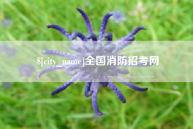 邹城全国消防招考网