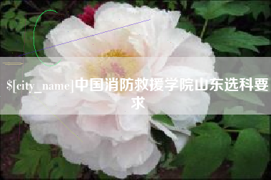 邹城中国消防救援学院山东选科要求