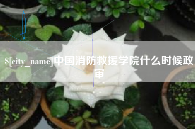 邹城中国消防救援学院什么时候政审