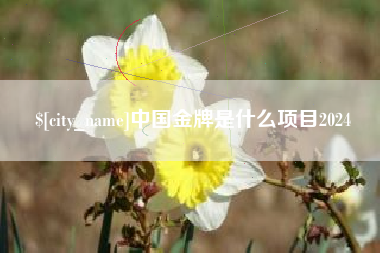 邹城中国金牌是什么项目2024
