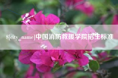 邹城中国消防救援学院招生标准