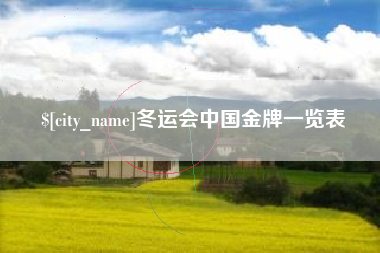 邹城冬运会中国金牌一览表