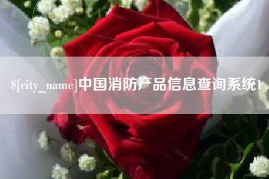 邹城中国消防产品信息查询系统1