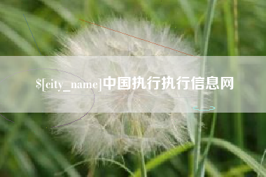 邹城中国执行执行信息网