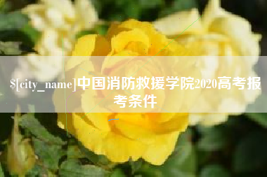邹城中国消防救援学院2020高考报考条件