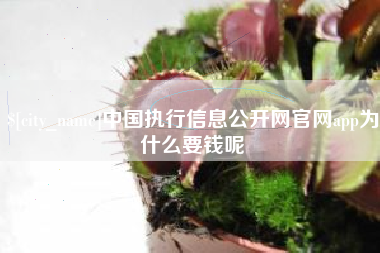 邹城中国执行信息公开网官网app为什么要钱呢
