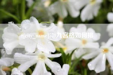 邹城579九宫格如何排