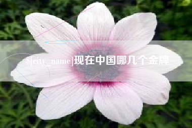 邹城现在中国哪几个金牌
