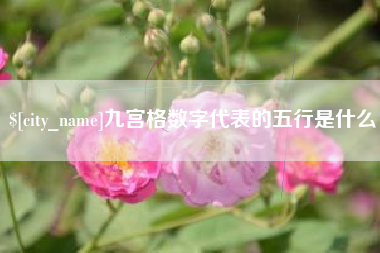 邹城九宫格数字代表的五行是什么