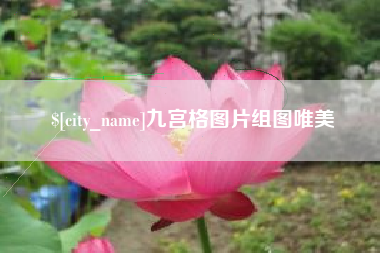 邹城九宫格图片组图唯美