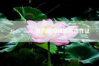 邹城消防证国网查询操作证