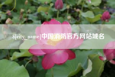 邹城中国消防官方网站域名