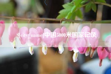 邹城中国5000米国家记录