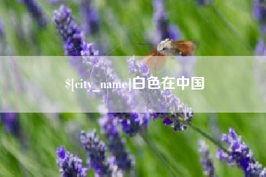 邹城白色在中国