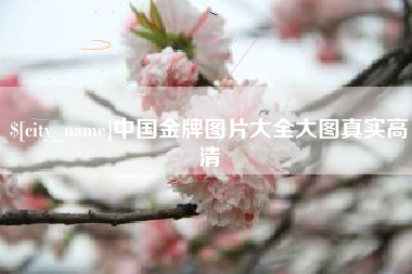 邹城中国金牌图片大全大图真实高清