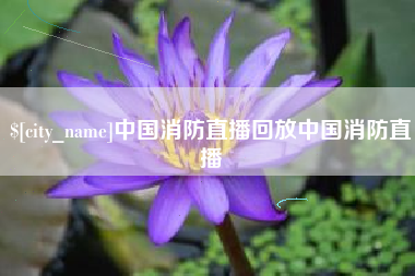 邹城中国消防直播回放中国消防直播