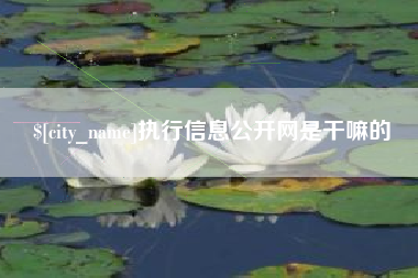 邹城执行信息公开网是干嘛的