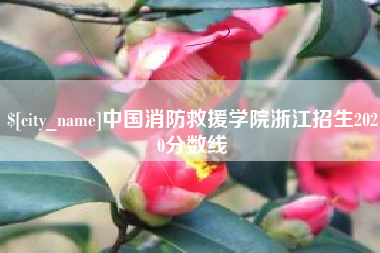 邹城中国消防救援学院浙江招生2020分数线