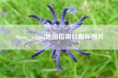 邹城地图指南针图标图片