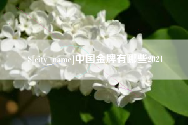 邹城中国金牌有哪些2021
