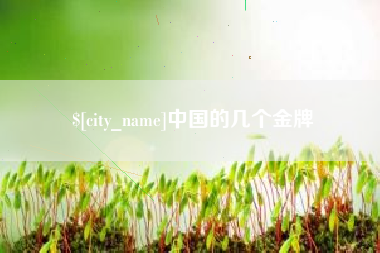 邹城中国的几个金牌