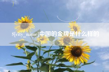 邹城中国的金牌是什么样的