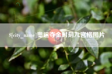 邹城奥运夺金时刻九宫格图片
