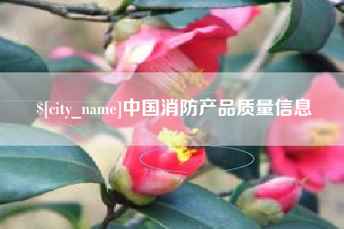 邹城中国消防产品质量信息