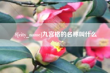 邹城九宫格的名称叫什么