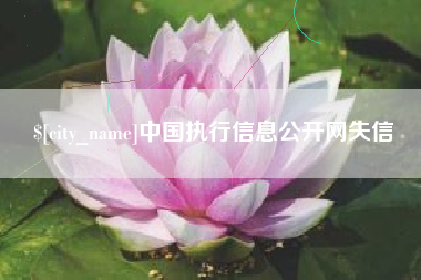 邹城中国执行信息公开网失信
