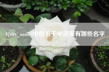 邹城中国五千米冠军有哪些名字