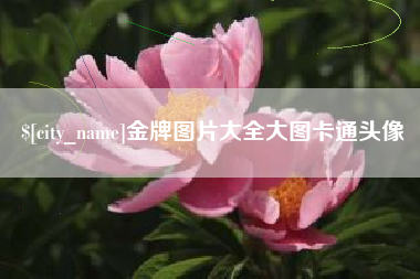 邹城金牌图片大全大图卡通头像
