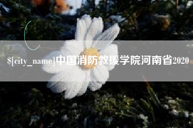 邹城中国消防救援学院河南省2020